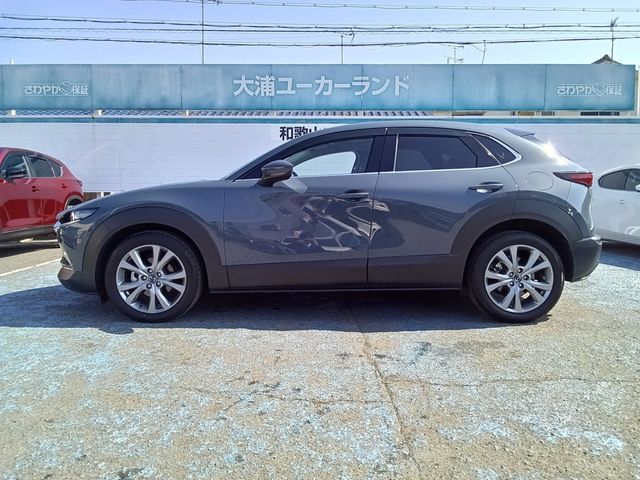 Ref No.A14897003 MAZDA CX-30 Image#19