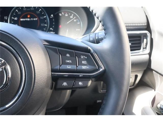 Ref No.A15032215 MAZDA CX8 Image#6