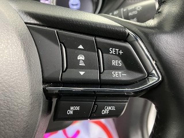 Ref No.A15069820 MAZDA CX8 Image#17