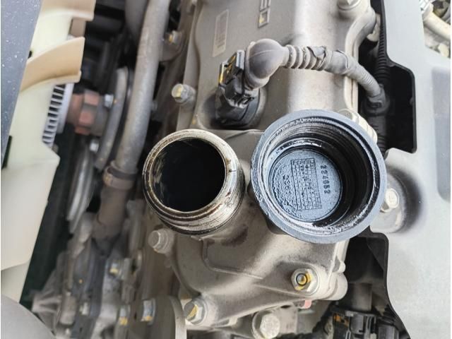 Ref No.A15204929 MITSUBISHI CANTER TRUCK Image#20