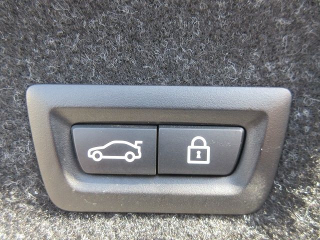 Ref No.A15409917 BMW 3 SERIES Image#15