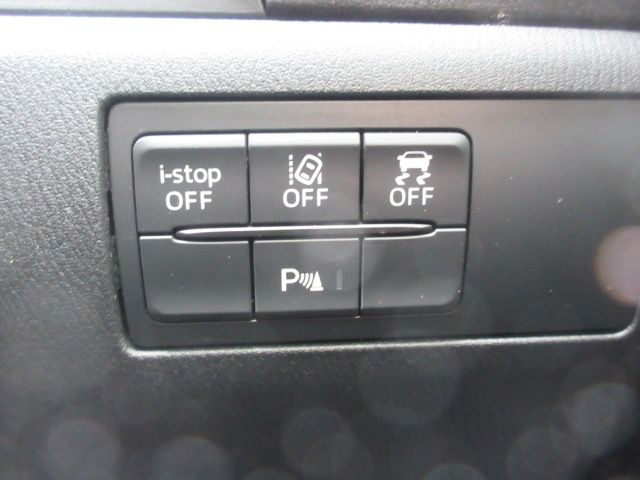 Ref No.A15464180 MAZDA AXELA SPORT Image#20