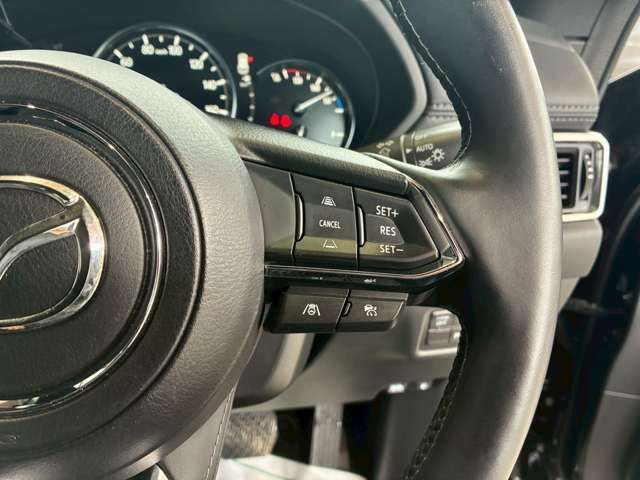 Ref No.A15502686 MAZDA CX8 Image#10