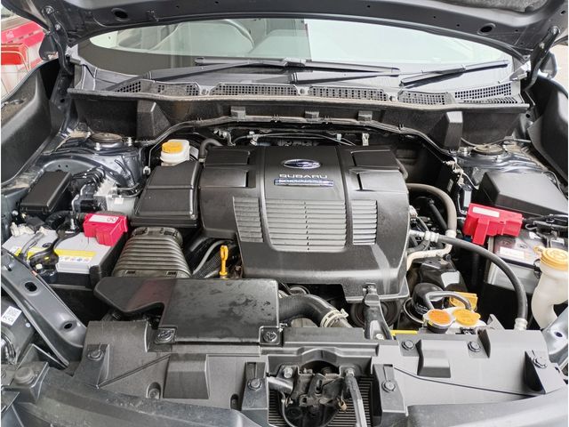 Ref No.A15643622 SUBARU FORESTER Image#20