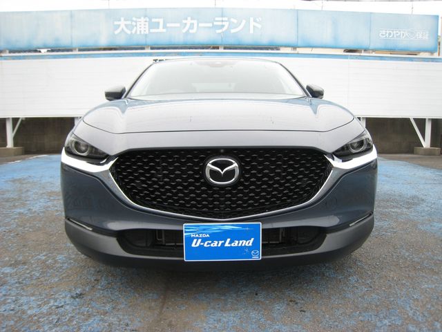 Ref No.A15724528 MAZDA CX-30 Image#10