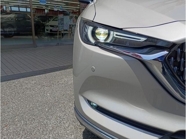 Ref No.A15818009 MAZDA CX8 Image#5