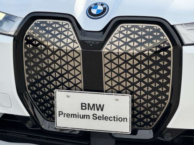 Ref No.A15905762 BMW iX Image#11