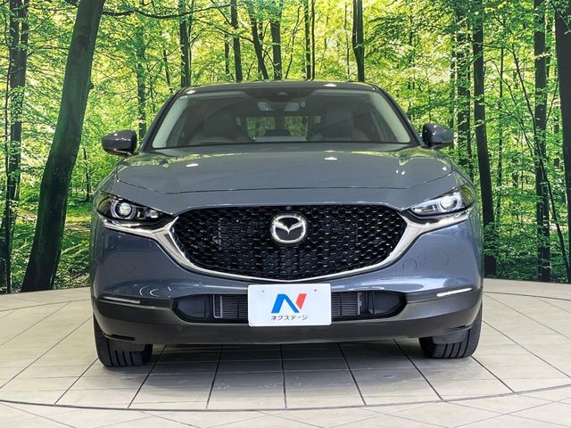 Ref No.A15906186 MAZDA CX-30 Image#15