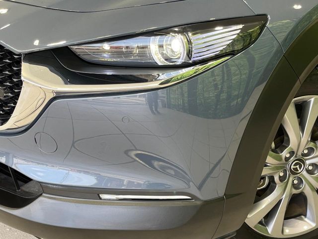 Ref No.A15906186 MAZDA CX-30 Image#13