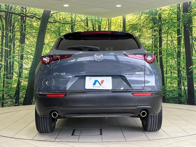 Ref No.A15906186 MAZDA CX-30 Image#16