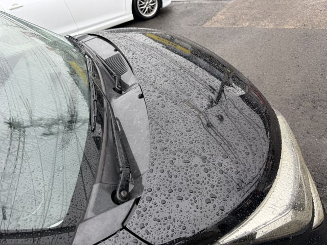 Ref No.A15940698 SUZUKI SOLIO BANDIT Image#13