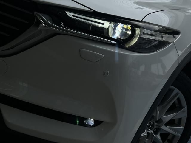 Ref No.A15988453 MAZDA CX8 Image#18