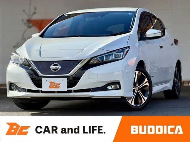 2018 Nissan Leaf